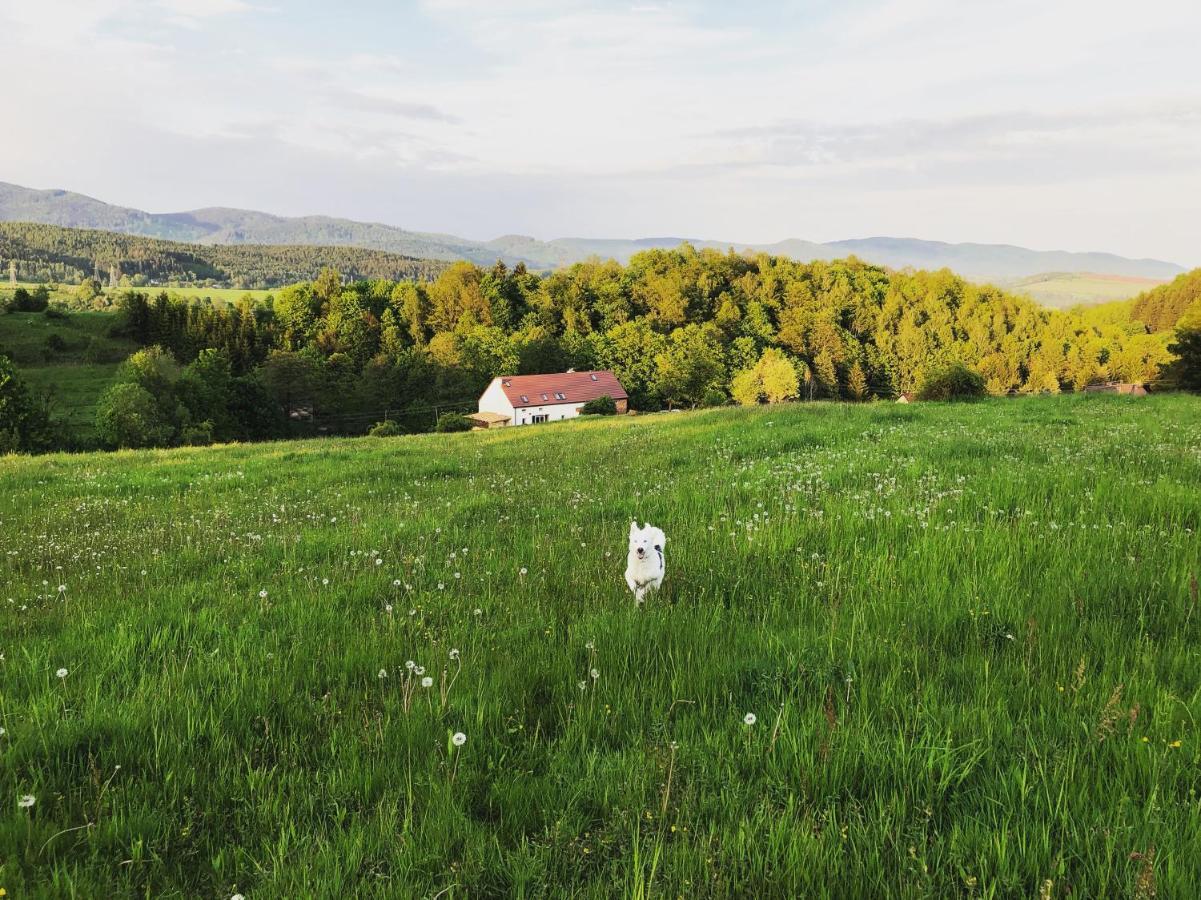 Zapomnienie Villa Nowa Ruda Luaran gambar